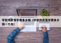 学软件开发学费多少钱（学软件开发学费多少钱一个月）